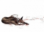 SLY_FOX аватар