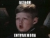 Почка Цыгана аватар